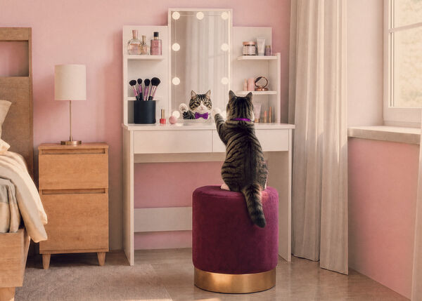 Chat assis devant une coiffeuse avec des &eacute;tag&egrave;res de rangement dans une chambre rose.