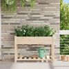 vidaXL Cache-pot de jardin avec &eacute;tag&egrave;re Beige 115 x 59 x 76,5 cm