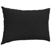 vidaXL Coussins de canapé 2 pcs Noir 60 x 40 cm tissu