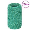 vidaXL Corde de bateau Vert 2 mm 250 m Polypropyl&egrave;ne