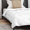 vidaXL Ensemble de Duvet avec oreiller 2 pcs Blanc Microfibre