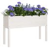 vidaXL Jardinières d'extérieur 2 pcs Blanc 110x31x70 cm Bois de pin