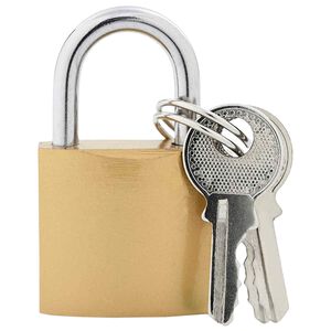 vidaXL U Lock avec Cl&eacute;s 100 pi&egrave;ces Laiton Fer