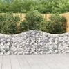 vidaXL Paniers &agrave; gabions arqu&eacute;s 4 pcs 200x30x80/100 cm Fer galvanis&eacute;