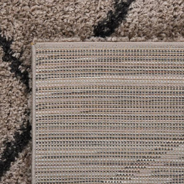 vidaXL Tapis shaggy &agrave; poils longs Beige et anthracite 80x150 cm