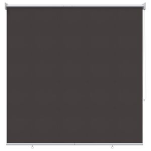 vidaXL Store roulant ext&eacute;rieur protection UV Anthracite