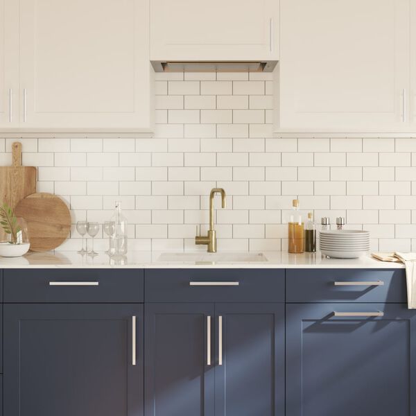 vidaXL Poign&eacute;es d'armoire 10 pcs argent&eacute; 192 mm acier inoxydable