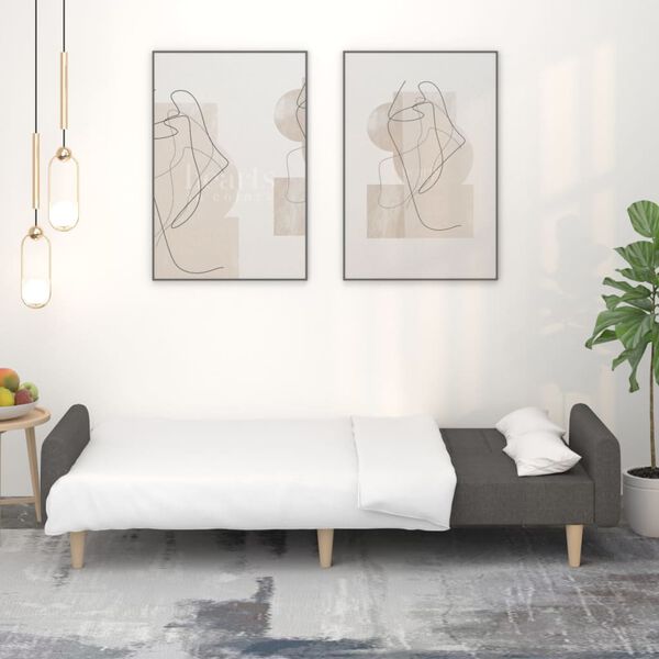 vidaXL Canap&eacute;-lit &agrave; 2 places Gris fonc&eacute; Tissu