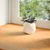 Vignette du produit 3 sur 10
