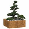 vidaXL Jardinière rouillé 100x100x40 cm acier inoxydable