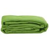 vidaXL Tapis de tente vert clair 250x500 cm PEHD