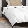 vidaXL Duvet d'hiver avec oreiller 2 pcs Blanc Plume de canard