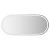 vidaXL Miroir de salle de bain LED avec miroir Transparent 100 x 45 cm