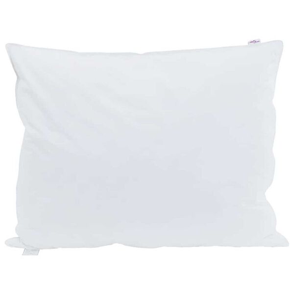 vidaXL Oreiller avec oreiller 2 pcs Blanc 60 x 80 cm Plume