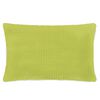 vidaXL Jeu de coussin lot de 2 Velours 40 x 60 cm Vert