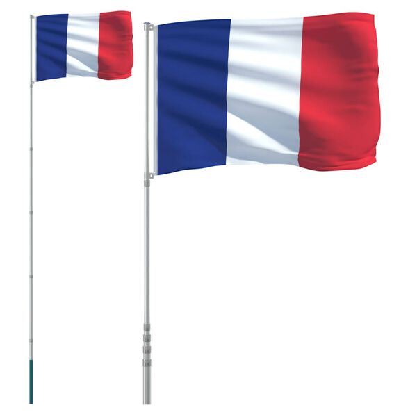 vidaXL Drapeau de la France et mât 5,55 m Aluminium