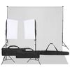 vidaXL Kit de studio photo avec &eacute;clairage et toile de fond
