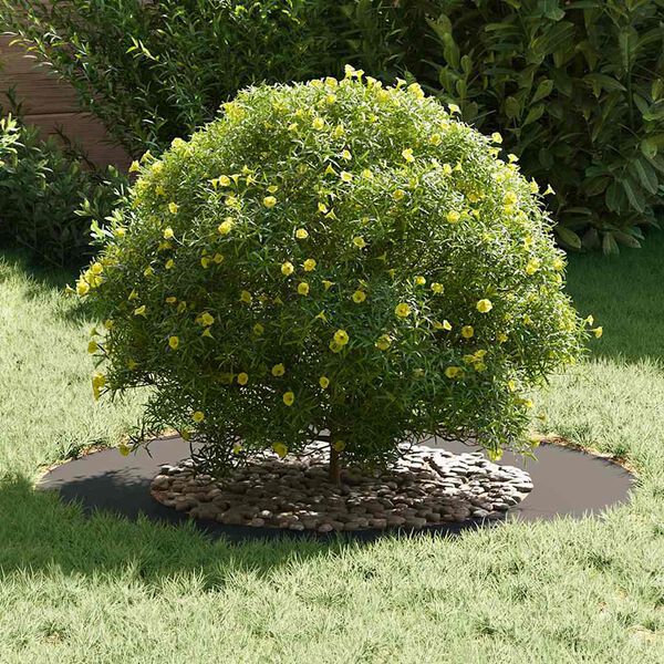 vidaXL adapt&eacute; pour anneaux d'arbre plats 5 pcs Noir &Oslash;50 / 80 cm Acier