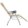 vidaXL Chaises de camping pliables lot de 2 et repose-pied Aluminium