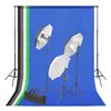 vidaXL Kit de studio photo avec toile de fond et jeu d'&eacute;clairage