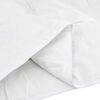 vidaXL Duvet d'&eacute;t&eacute; simple Blanc 260 x 220 cm Plume
