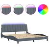 vidaXL Cadre de lit avec LED sans matelas Hanko gris fonc&eacute; 180x200cm velours