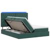 vidaXL Lit de rangement LED avec matelas Vert fonc&eacute; 200 x 200 cm