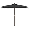 vidaXL Parasol de jardin avec m&acirc;t en bois noir 299x240 cm