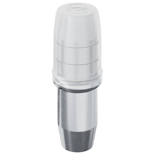 vidaXL Panneau de rayon 12 pcs Argent&eacute; 7 x 16 mm Fer