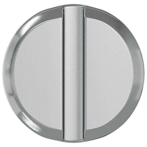 vidaXL &Eacute;crou 2 pcs Zinc&eacute; 60 x 12 mm Fer