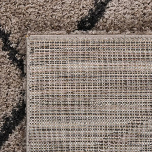 vidaXL Tapis shaggy &agrave; poils longs Beige et anthracite 160x230 cm