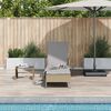 vidaXL Transat Beige et Gris clair 55 x 200 x 92 cm polyrotin