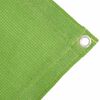 vidaXL Tapis de tente vert clair 250x500 cm PEHD