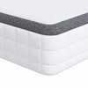 vidaXL Matelas Blanc et Gris 100 x 200 cm Printemps Bonell