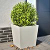 vidaXL Jardini&egrave;res 2 pcs blanc 50x50x50 cm acier