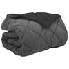 vidaXL Duvet d'hiver 220 x 240 cm 450 gsm Microfibre (100% polyester)