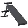 vidaXL Banc pour abdominaux Noir 124 x 33,5 x 55 cm
