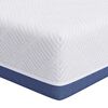vidaXL Matelas Moyennement ferme 70 x 200 cm Blanc et Bleu