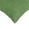 vidaXL Coussins de canap&eacute; 2 pcs Vert clair 80 x 80 cm