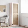 vidaXL Porte de Cabinet Naturel 170 x 2,1 x 49,5 cm Bois de pin massif