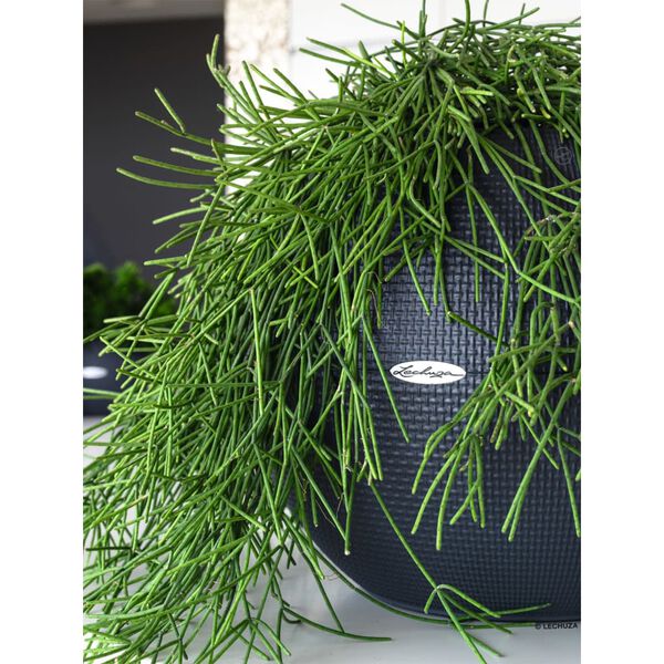 LECHUZA Jardini&egrave;re PURO Color 50 ALL-IN-ONE diam&egrave;tre 50 cm ardoise