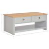 vidaXL Table basse Gris 100x50x42 cm