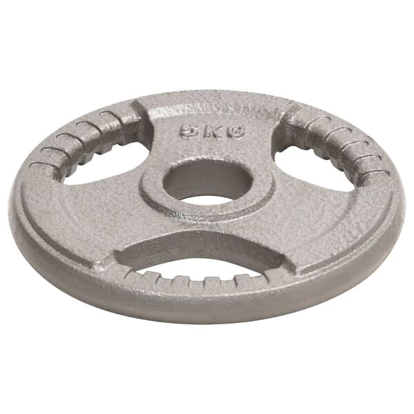 vidaXL Plaques de poids olympiques 4 pcs 20 kg Fonte