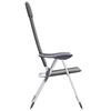 vidaXL Chaises de camping pliables lot de 2 Gris Aluminium