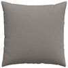 vidaXL Coussins de canap&eacute; 2 pcs Taupe 60 x 60 cm tissu