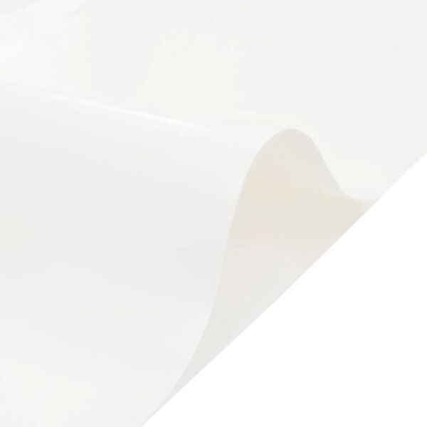 vidaXL B&acirc;che blanc 5x6 m 650 g/m&sup2;