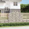 vidaXL Paniers &agrave; gabions arqu&eacute;s 2 pcs 200x50x160/180 cm Fer galvanis&eacute;