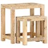 vidaXL Tables d'appoint peintes &agrave; la main 2pcs Bois de Manguier solide