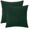 vidaXL Housse de coussin 2 pcs HEERLEN Vert fonc&eacute; 30 x 30 cm Velours