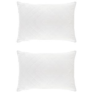 vidaXL Oreiller FULDA 2 pc 50 x 75 cm 100% duvet d'oie et plumes Blanc